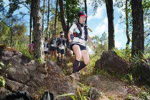 BIB: 
                            <button type="button" onclick="openModal(18916797)" class="btn btn-primary btn-sm float-right btn-popup" data-toggle="modal" data-target=".modal-high-quality">
                        <i class="fas fa-shopping-cart"></i> Add to Cart
                    </button>
                                            <button type="button" onclick="isThisMe(18916797, true)" class="btn btn-success btn-sm float-right btn-popup btn-isme hidden" data-toggle="tooltip" data-placement="bottom" title="นี่คือรูปของคุณใช่ไหม คลิกที่นี่เพื่อเอาเข้าอัลบั้ม">
                        <i class="fas fa-plus"></i> Add to album
                    </button>
                    <button type="button" onclick="isThisMe(18916797, false)" class="btn btn-warning btn-sm float-right btn-popup btn-isnotme hidden">
                        <i class="fas fa-ban"></i> Remove from album
                    </button>